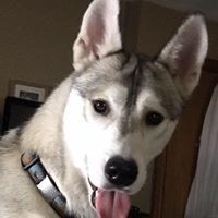 Profile Picture of Jo Jacques (@jo-jacques-1) on Quora