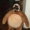 Profile Picture of Brian Wilder (@@brianwilder72) on Tiktok