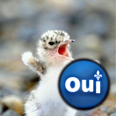 Profile Picture of Jean  Marc Guénette (@gerardjmguenet1) on Twitter