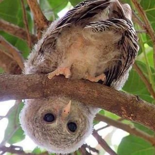 Profile Picture of Scott Banning (@ScottBanning7) on Twitter