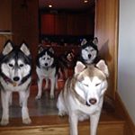 Profile Picture of David Mullner (@davidmullner) on Instagram