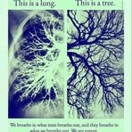 Profile Picture of Michael Fletty (@Michael-Fletty) on Facebook