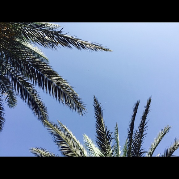 Profile Picture of Rana Beaini (@rbeaini) on Poshmark