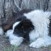 Profile Picture of Carl Cochran (@carl.cochran.102) on Facebook