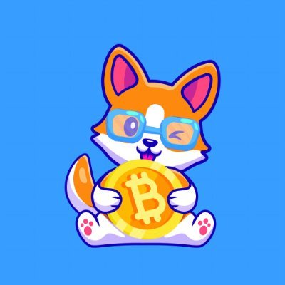 Profile Picture of Chibi Inu (@chibinuToken) on Twitter