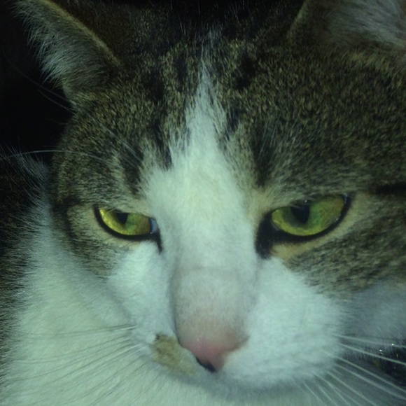 Profile Picture of Kyle Valade (@kylevalade) on Poshmark