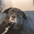 Profile Picture of Jarryd Tankey (@jarryd.tankey.2025) on Facebook