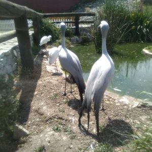 Profile Picture of Maria Cecilia Calvi (@MariaCe00108421) on Twitter