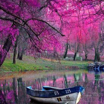 Profile Picture of Barbara Pace (@bpace8657) on Twitter