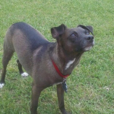 Profile Picture of Travis Mcabee (@mcabeeta) on Twitter