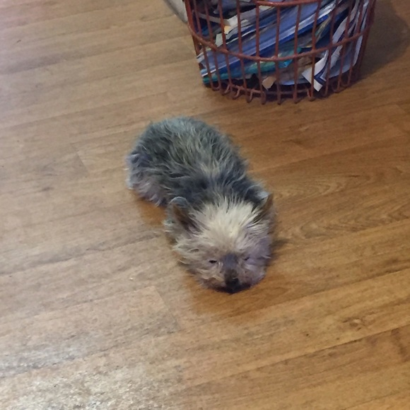 Mackenzy Ressler - Poshmark Profile Picture of Mackenzy Ressler (@mackenzymae90) on Poshmark