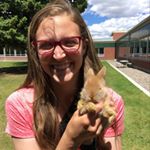 Profile Picture of Amanda (@amandaklinker) on Instagram