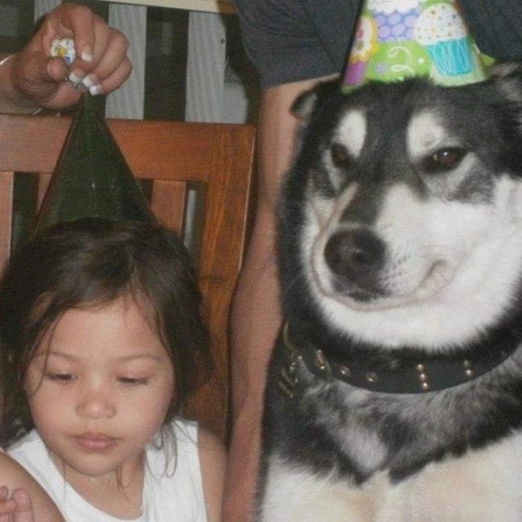 Profile Picture of Maja Letkiewicz (@majaletkiewicz) on Poshmark