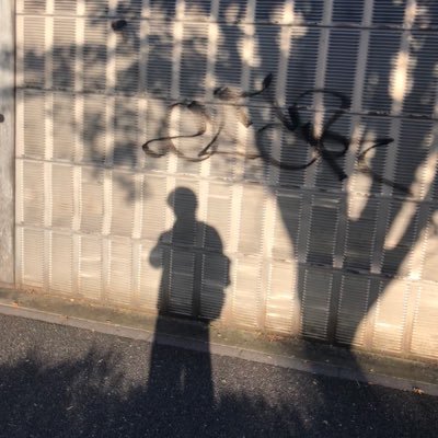 Profile Picture of Leo.Xia (@LeoXia8) on Twitter