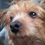 Profile Picture of Alexus Watson (@watson.alexus) on Instagram