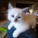 Profile Picture of James Michael Mcgary (@James-Michael-Mcgary) on Facebook