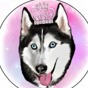 Profile Photo of Meeka 🐺💕 (@meekathehusky) on Tiktok