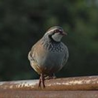 Profile Picture of Vincent Power (@vincent-power-4) on Quora