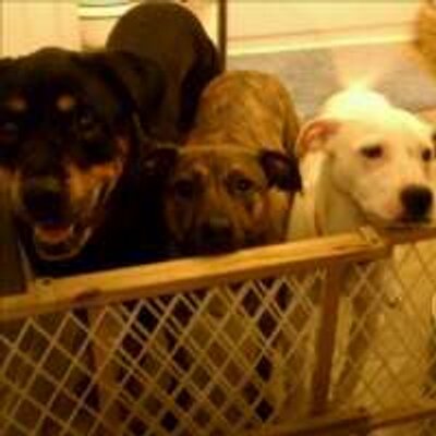 Profile Picture of Candice Prior (@CDP042905) on Twitter