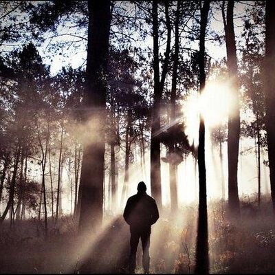 Profile Picture of Philip Liao (@switch10018991) on Twitter