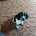 Profile Picture of Danny Rudkin (@danny.rudkin.1) on Facebook