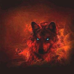 Profile Picture of Andrew Rosberg (@andrewrosberg5) on Tiktok