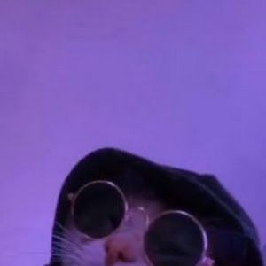 Profile Picture of davidnotario6 (@davidnotario6) on Tiktok