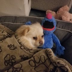 Profile Picture of jacquelinedart510 (@jacquelinedart510) on Tiktok