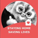 Profile Picture of Christopher J Ragusca (@christopherragusca) on Instagram