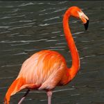 Profile Picture of Katelyn Waters (@katelynwaters1) on Instagram