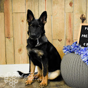 Profile Picture of William Baldwin (@williambaldwin9346) on Youtube