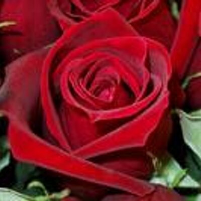 Profile Picture of MARIA D.J.C.LLANAS (@jllanas) on Twitter