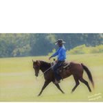 Profile Picture of Chris Goodwin • Horseman (@1ropingoodwin) on Instagram