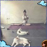 Profile Picture of 김소미 (@joan.cra3foyd.biopic) on Instagram