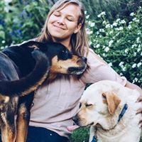 Profile Picture of Liesl Schultz (@liesl0621) on Pinterest