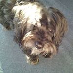 David Julie Burrowes - Instagram Profile Picture of David Julie Burrowes (@davidjulieburrowes) on Instagram