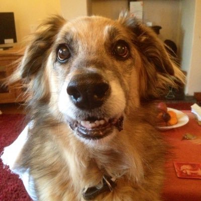 Profile Picture of Adrian Oliver (@oliw89) on Twitter