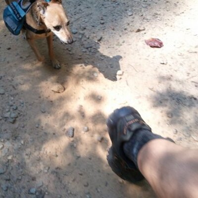 Profile Picture of Cory Hensley (@cvhensley) on Twitter