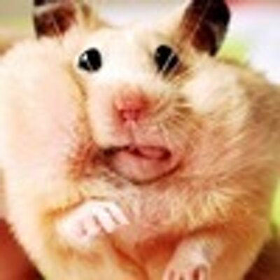 Profile Picture of Colin Doyle (@ColinNorah) on Twitter