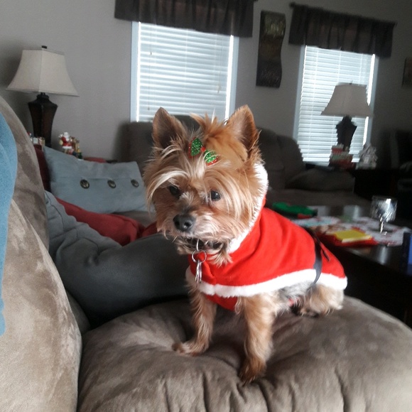 Profile Picture of Sandra Colaluca (@samcolaluca) on Poshmark