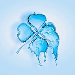 Profile Picture of Kevin Kaupp (@kevin.kaupp) on Instagram