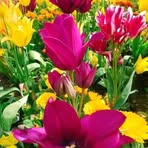 Profile Picture of Gracious John (@Gracious-John) on Facebook