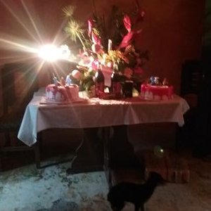 Profile Picture of Camilo Serrano (@camiloserrano54) on Twitter