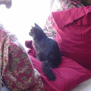 Profile Picture of Evelyne Smith (@150187644) on Myspace