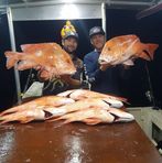 Profile Picture of Ian Crane (@ian.crane.9889) on Facebook