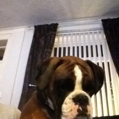 Profile Picture of Claire Richardson (@ClaireRichard13) on Twitter