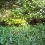 Kevin Rono - Facebook Profile Picture of Kevin Rono (@Kevin-Rono) on Facebook