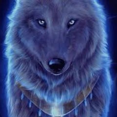 Profile Picture of Richard Yoelvis Escalona Barragan (@yoelvis_richard) on Twitter