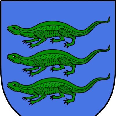 Profile Picture of James Cotter 🇮🇪 Seamus Mac Coitir (@jamescotterphd) on Twitter