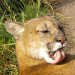 Profile Picture of Michael (@Michael Von Driska) on Flickr